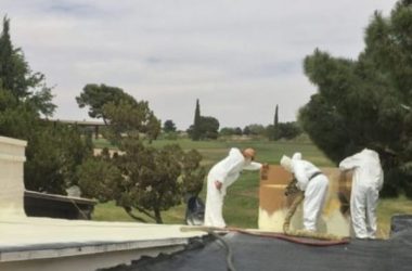 IMG_0234-e1550086458944-1